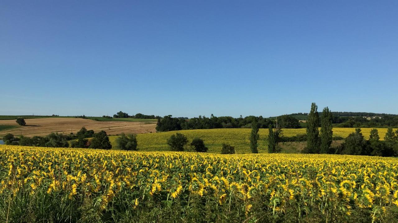 " Venez Dormir Chez Nous " #Condom#Gascogne#D'Artagnan#Armagnac#Le Bonheur Est Dans Le Gers Exterior foto