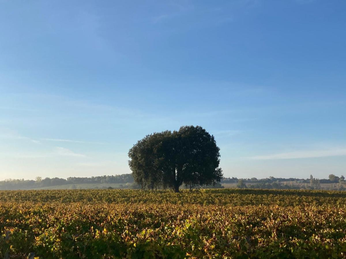 " Venez Dormir Chez Nous " #Condom#Gascogne#D'Artagnan#Armagnac#Le Bonheur Est Dans Le Gers Exterior foto