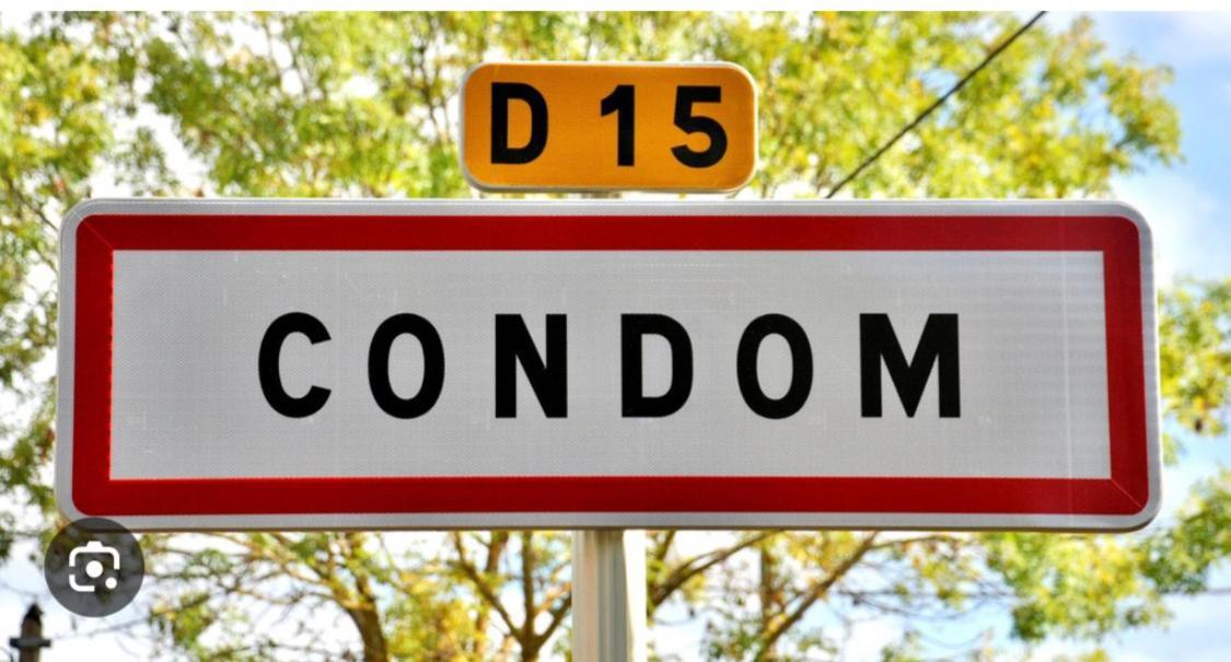 " Venez Dormir Chez Nous " #Condom#Gascogne#D'Artagnan#Armagnac#Le Bonheur Est Dans Le Gers Exterior foto